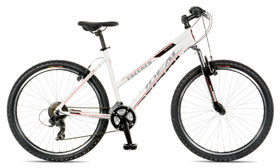 Mountain-Bicycle